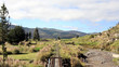 Railroad tracks in the wild