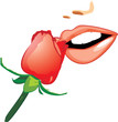 Red rose and female smile. Vector Red rose and female smile. Vector