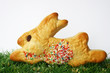 Gebäckhase zur Osterzeit