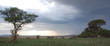 Watching elephants on a safari, Serengeti, Tanzania