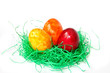 Osternest
