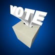 vote box