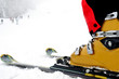 ski