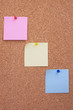corkboard with notes