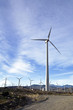 Wind Farm Four