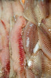 Tilapia filet in chinese supermarket in Queens, NY