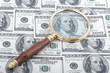 magnifier with dollar magnifier with dollar