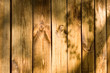 texture of a wooden plank wall with tree shadows on it