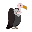 Illustration: Vulture Cartoon - Isolated On White Vulture Cartoon - Isolated On White