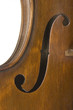 violon11