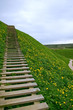 Ladder to the sky