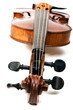 Violon