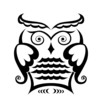 Pure black lines of wise owl