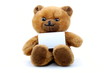 isolated teddy with blank sheet isolated teddy with blank sheet
