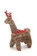Llama de lana del Norte Argentino. Souvenir Llama de lana del Norte Argentino. Souvenir