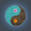 yin-yang