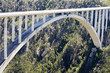 Bloukrans River bridge (216 m) highest bungee-jumping point in t