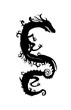 Dragon Silohette - Isolated