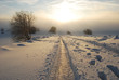 Winter road Winter road