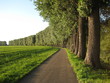 Weg nach nirgendwo