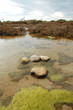 Paysage Camarguais