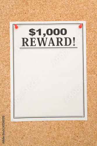 Photo: Reward poster Reward poster
