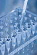 research in laboratory