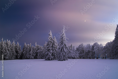 Photo: Winternacht Winternacht