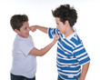 Little Friends fighting