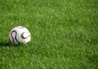 Soccer Ball
