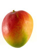 mangue 2