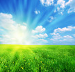 Sunny spring landscape Sunny spring landscape