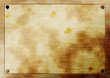 Rusted board