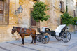 Traditional Horse and Cart Traditional Horse and Cart