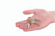 Handover keys