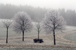 Winterlandschaft