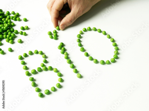 Bio-Gemüse