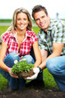 couple planting flowers