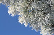 eiszeit