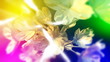 Wedding background