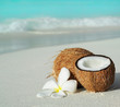 coconut