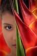 exotic beauty