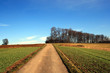 Weg