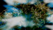 Wedding background
