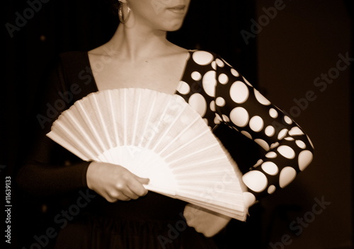 FLAMENCO AMBIENTE