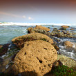 Reef