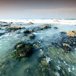 Reef