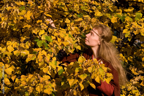Photo: The elf in the autumn forest The elf in the autumn forest