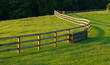 Winding Fence In Meadow