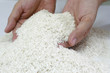 Foto: Abundant rice supply Abundant rice supply